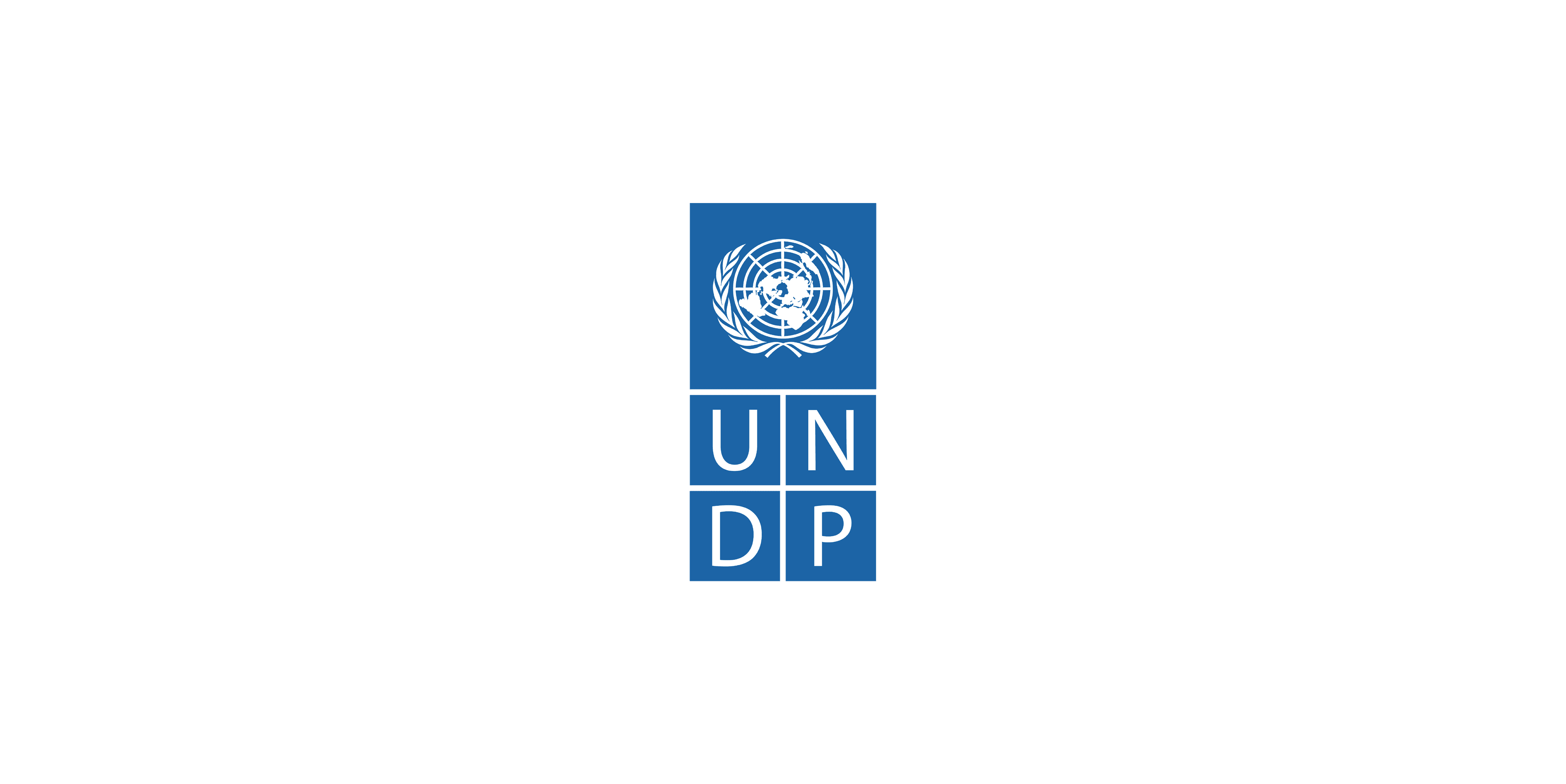  United Nations Development Programme